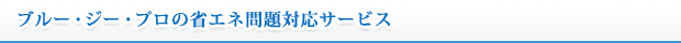 ブルージー・プロの省エネ問題対応サービス